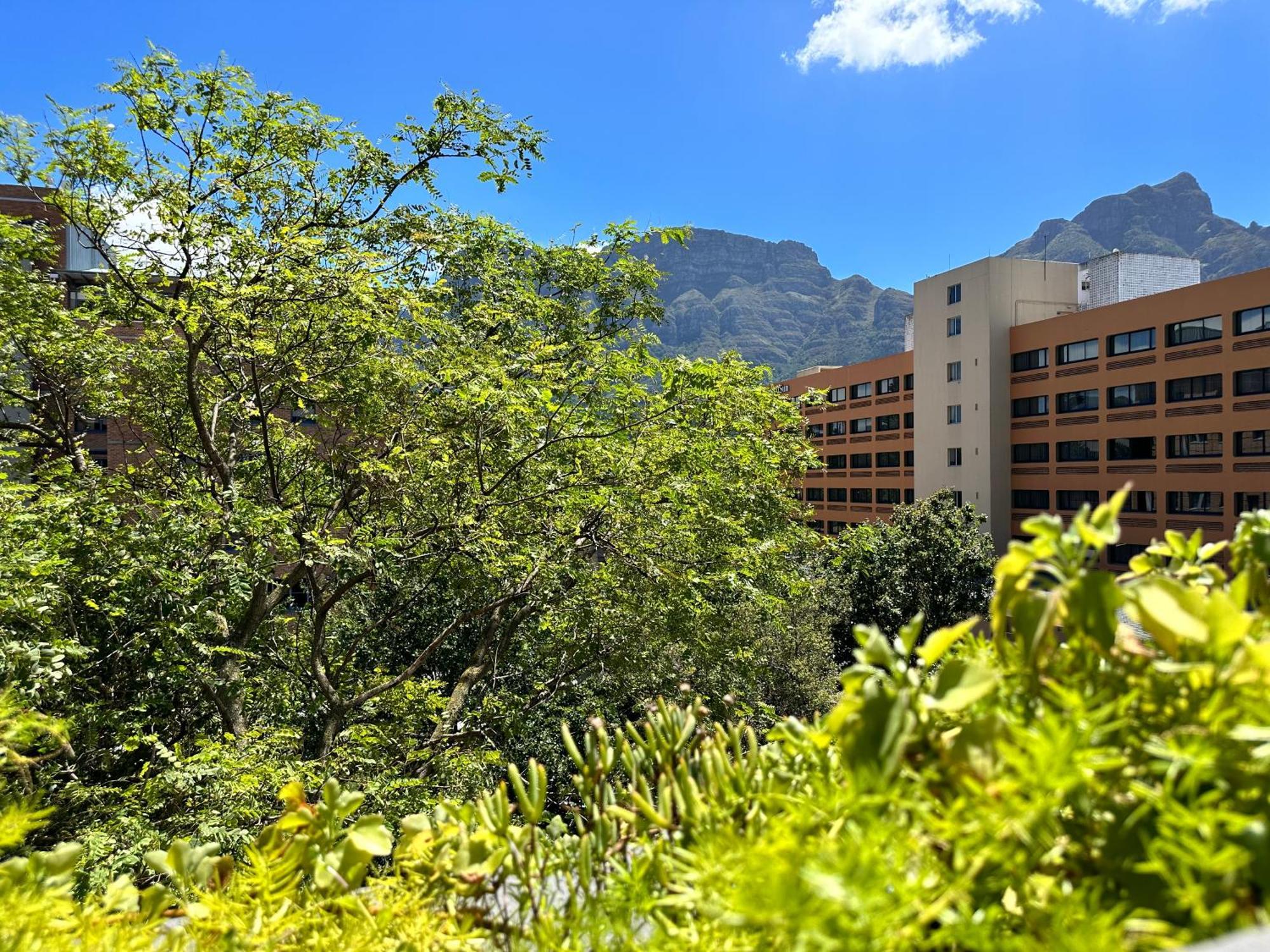 Newlands Peak Apartments Cape Town Bagian luar foto